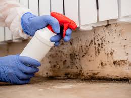 Why You Should Choose Our Mold Remediation Services in Placeholder8